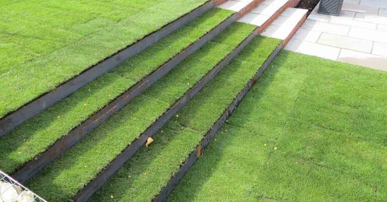 Metal steps in a lawn